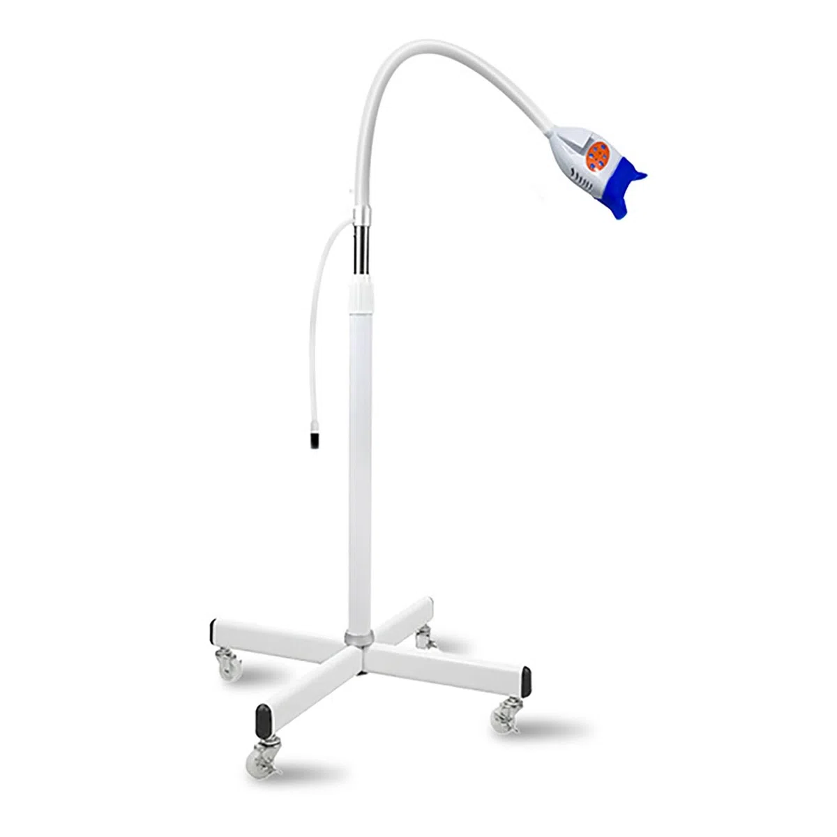 Lampe de Blanchiment des Dents 36 W 10 LED Lumière Froide 3 Couleurs