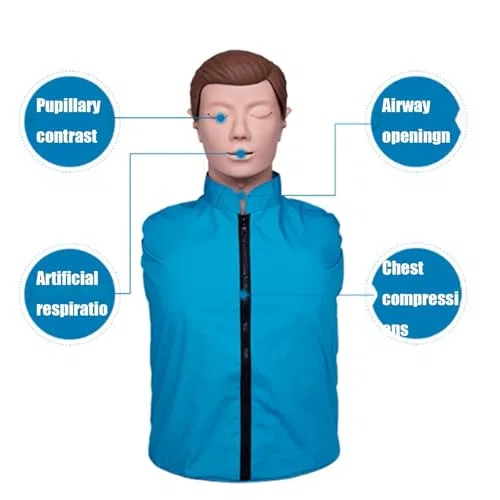 Mannequin d'entraînement CPR Modèle de simulation pour l'enseignement Aide à la formation Modèle d'urgence