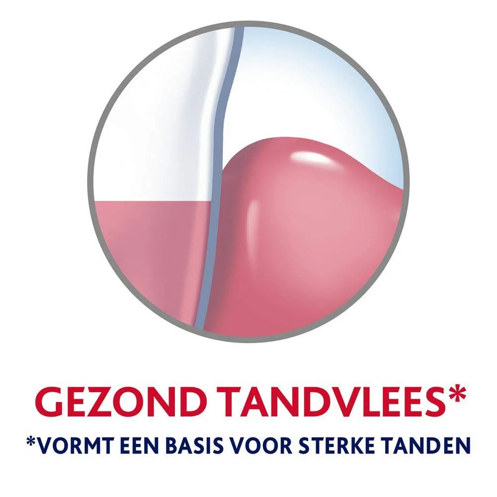 Parodontax Protection complète Blanchiment Dentifrice quotidien | anti-saignement des gencives 75 ml - 12 pack