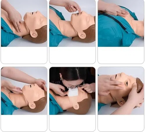 Mannequin d'entraînement CPR Modèle de simulation pour l'enseignement Aide à la formation Modèle d'urgence