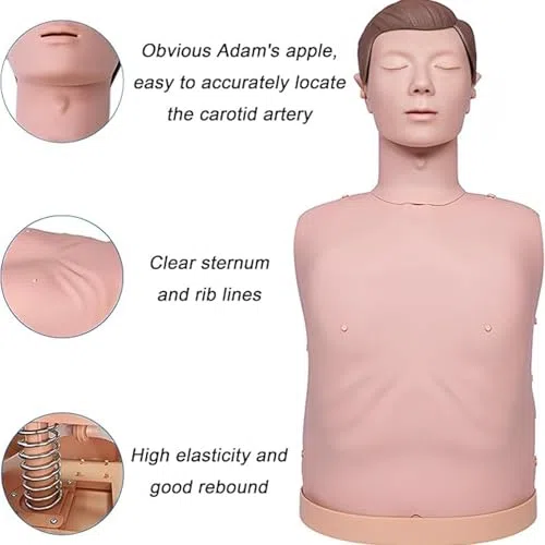 Mannequin d'entraînement CPR Modèle de simulation pour l'enseignement Aide à la formation Modèle d'urgence