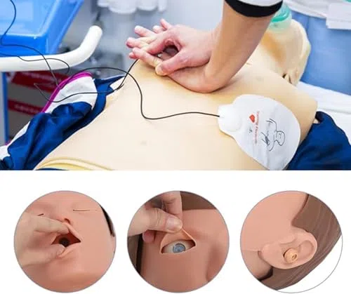 Mannequin d'entraînement CPR Modèle de simulation pour l'enseignement Aide à la formation Modèle d'urgence